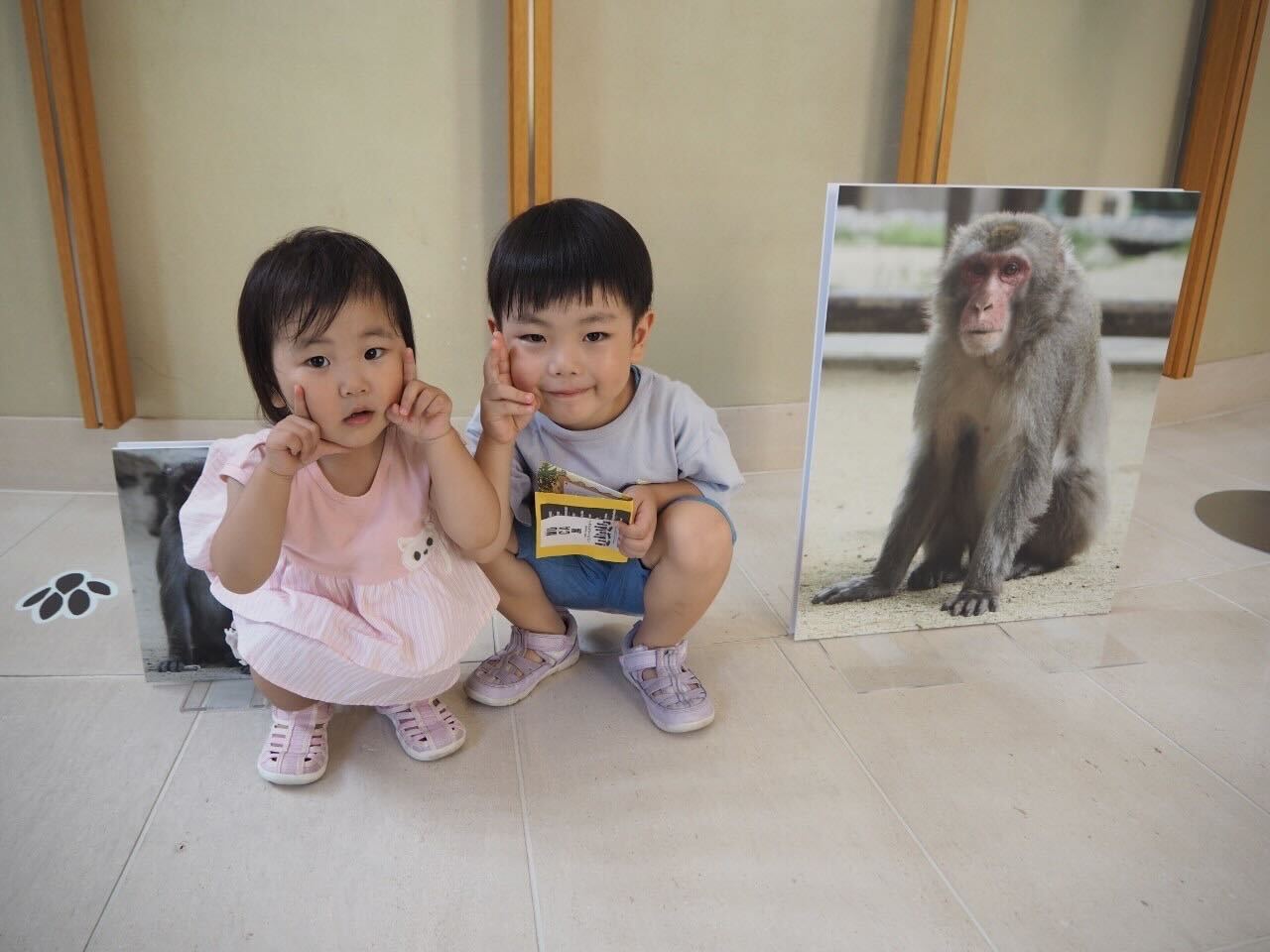 お猿さんの写真と撮影
