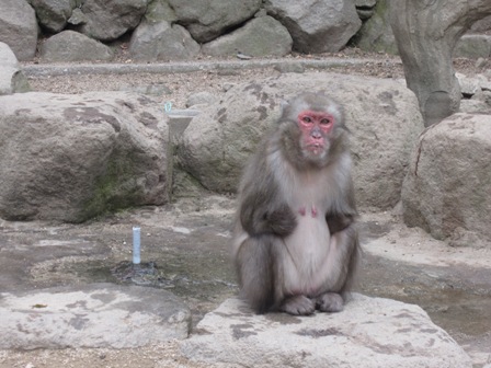コピー ~ IMG_2004.jpg
