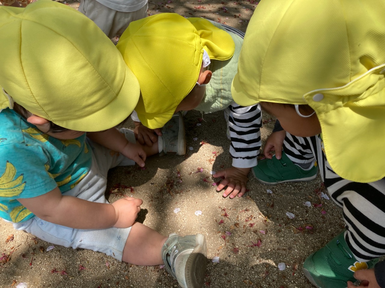 りす組三人虫探し