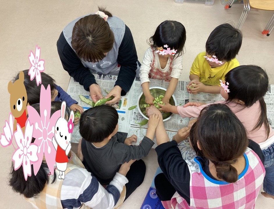 ぱんだ組食育そら豆