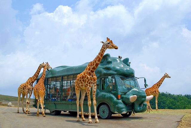 九州自然動物園公園 アフリカンサファリ - 動物園